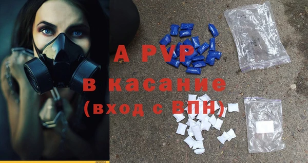 гидра Абаза