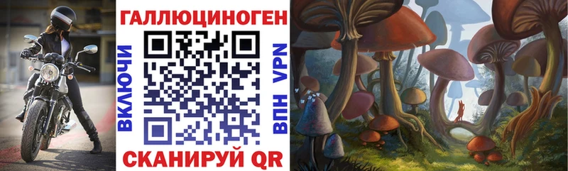 Псилоцибиновые грибы прущие грибы Приморско-Ахтарск
