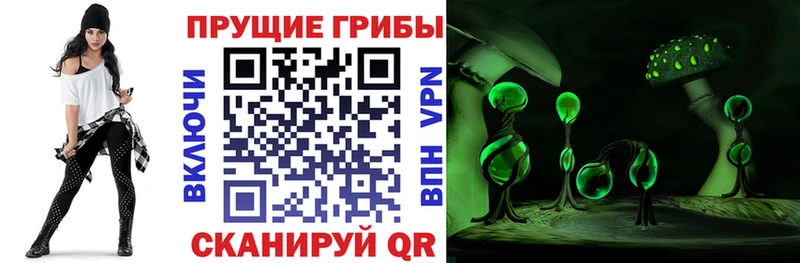 Галлюциногенные грибы Psilocybine cubensis  купить  сайты  Приморско-Ахтарск 